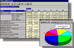 QueryBox screen shot, courtesy and Copyright of LedningsInformation AB Sweden 1995-2000 